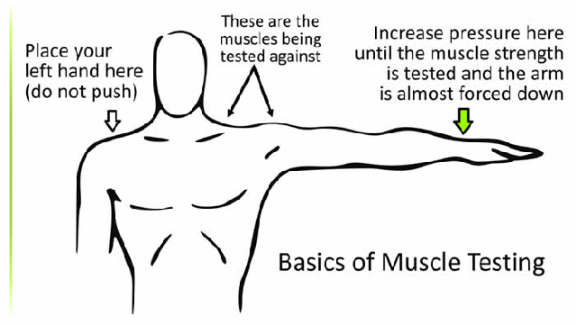 Muscle-Testing